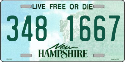 NH license plate 3481667