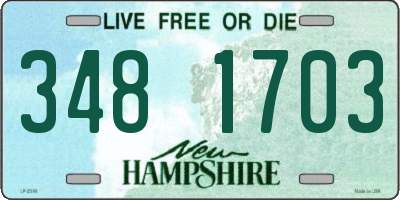 NH license plate 3481703