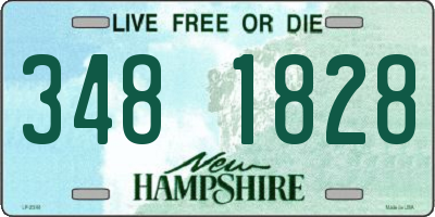 NH license plate 3481828