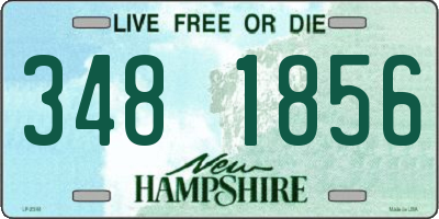 NH license plate 3481856