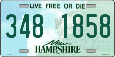 NH license plate 3481858