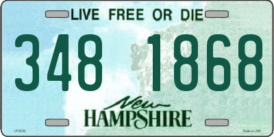 NH license plate 3481868