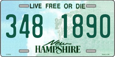 NH license plate 3481890
