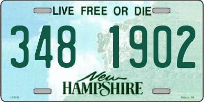 NH license plate 3481902