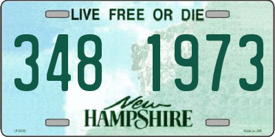 NH license plate 3481973