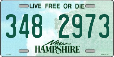 NH license plate 3482973