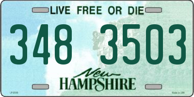 NH license plate 3483503