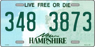 NH license plate 3483873