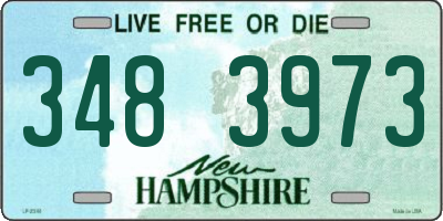 NH license plate 3483973
