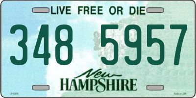 NH license plate 3485957