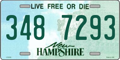 NH license plate 3487293