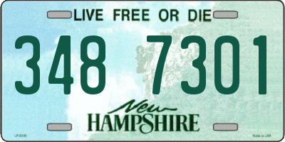 NH license plate 3487301