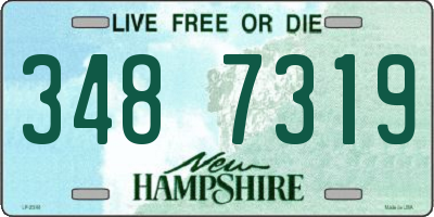 NH license plate 3487319