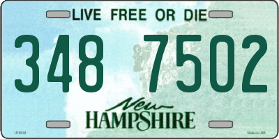 NH license plate 3487502