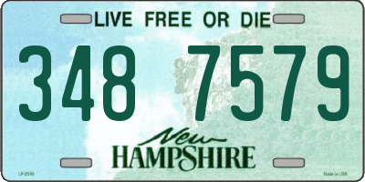 NH license plate 3487579