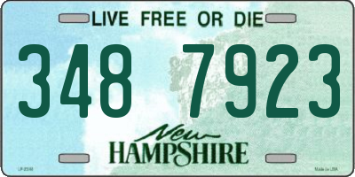 NH license plate 3487923