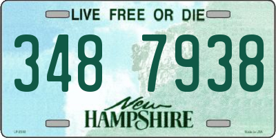 NH license plate 3487938