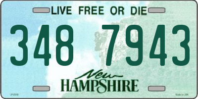 NH license plate 3487943