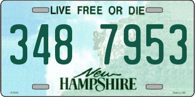 NH license plate 3487953