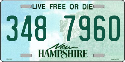 NH license plate 3487960