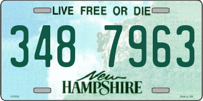 NH license plate 3487963