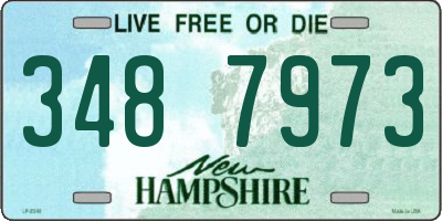 NH license plate 3487973