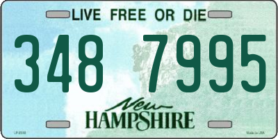 NH license plate 3487995