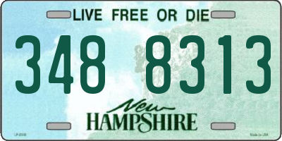 NH license plate 3488313