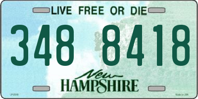 NH license plate 3488418
