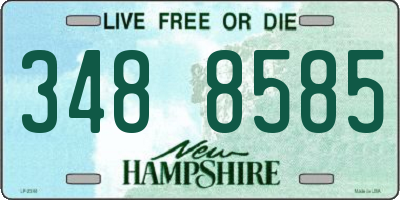 NH license plate 3488585