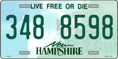 NH license plate 3488598