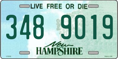 NH license plate 3489019