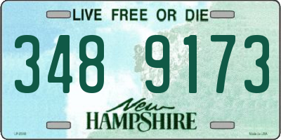 NH license plate 3489173