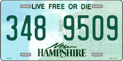 NH license plate 3489509