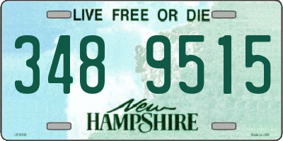 NH license plate 3489515