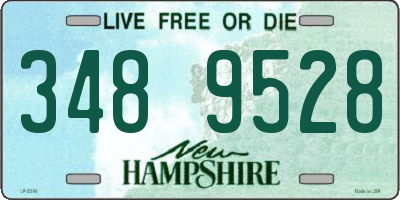 NH license plate 3489528