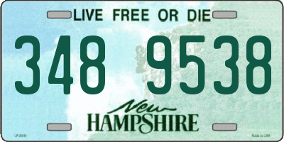 NH license plate 3489538