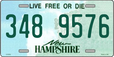 NH license plate 3489576