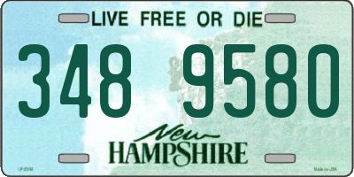 NH license plate 3489580