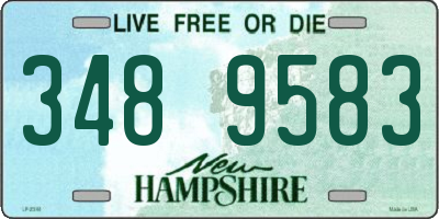 NH license plate 3489583