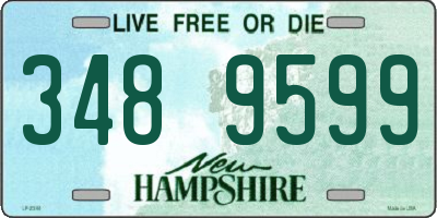 NH license plate 3489599