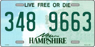 NH license plate 3489663