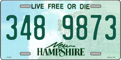 NH license plate 3489873