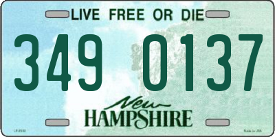 NH license plate 3490137