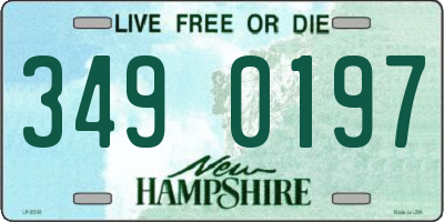 NH license plate 3490197