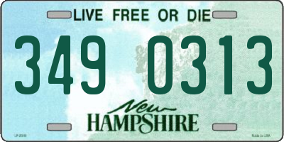 NH license plate 3490313
