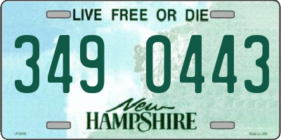 NH license plate 3490443