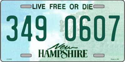 NH license plate 3490607