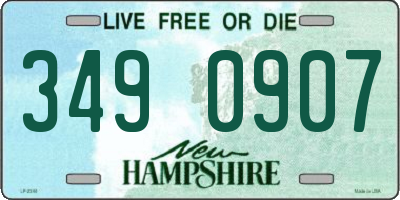 NH license plate 3490907