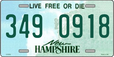 NH license plate 3490918